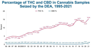 thc.cbd.2024 thc.cbd.2024